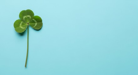 Overhead shot of a vibrant green shamrock with three leaves, symbolizing irish heritage and st patricks day luck, set against a serene light blue backdrop, creating a fresh and minimalist aesthetic