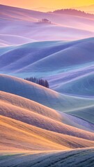 Curving farm fields flow across the gentle landscape, displaying warm golden light and cool shadow tones, creating a peaceful scene.