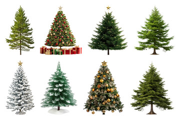 PNG Diverse festive Christmas trees, element set on transparent background
