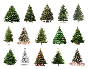 PNG Variety of decorated Christmas trees, element set on transparent background
