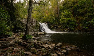 Wide View Of Trees And Roots Surrounding Pool Below Abrams Falls