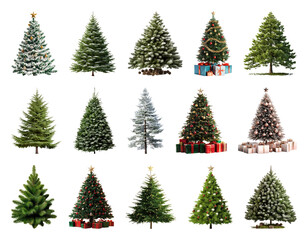 PNG Diverse festive Christmas trees collection, element set on transparent background