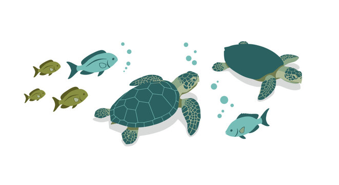 Marine wildlife: sea turtles and fish swimming underwater in flat design
