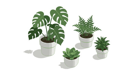 Modern indoor plant collection with monstera and succulents in minimalist pots