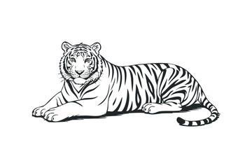 Fototapeta premium Striking Tiger Lying Down. Vector hand drawn illustration