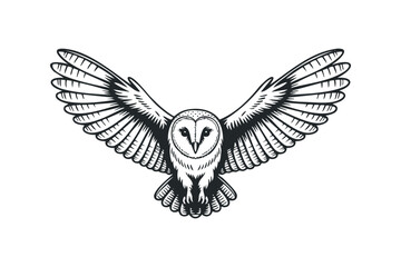 Obraz premium Barn owl with wide wings spread, black and white graphic on transparent background. Vector hand drawn illustration