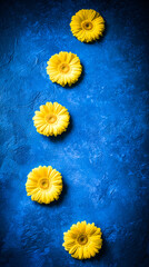 Vibrant yellow gerbera daisies arranged artistically against a deep blue background, minimalist floral concept.
