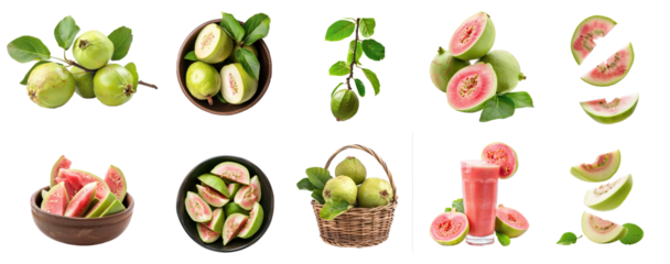 collection of Guava on branch isolate on transparency background