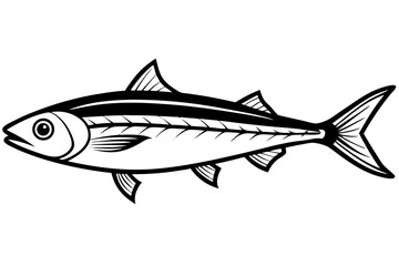 fish on a white background