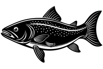 fish on a white background