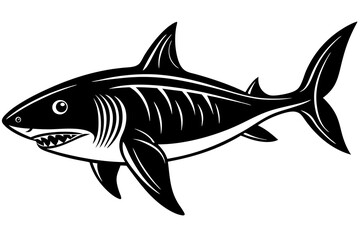 vector illustration of a shark