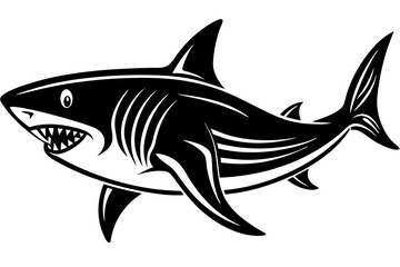 shark vector illustration