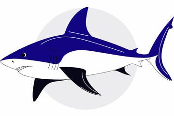 shark vector illustration