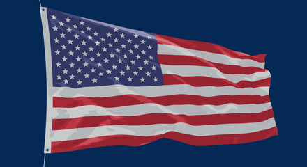 Fototapeta premium Vector Illustrations of the Flag with Various Designs