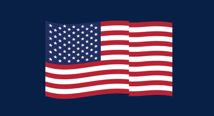 Fototapeta premium Vector Illustrations of the Flag with Various Designs