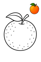 Obraz premium Orange Fruit Coloring Page Illustration.