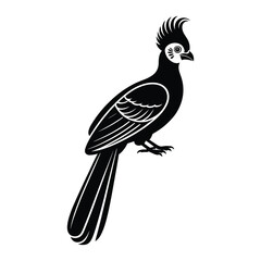 Abstract geometric design with bold color palette and helvetica courier typography