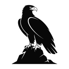 Abstract geometric design with vibrant color palette and helvetica courier typography