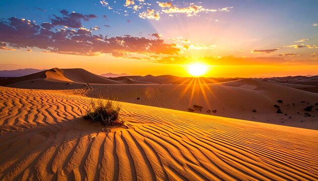 Desert sunset panorama
