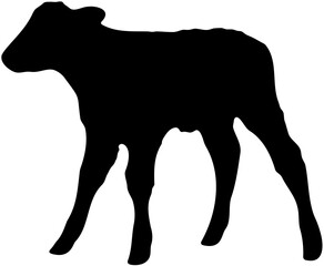 Calf silhouette side view, young cow baby farm animal standing, livestock vector illustration, black outline bovine design, simple rural agriculture graphic art