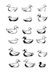 a set of duck icons
