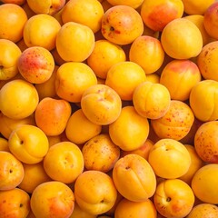 Close-up of many ripe apricots