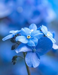 Close-up of vibrant blue flowers (1)