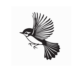 Native Fantail Bird from New Zealand Vector Illustration on White Background Isolated