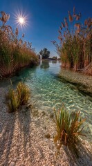 Crystal-clear shallow stream, sunlight, reeds, tranquil