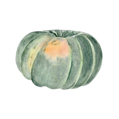 Green pumpkin with orange spot isolated on white background. Hand-painted autumn vegetable watercolor illustration perfect for Thanksgiving decor, fall harvest compositions, Halloween, rustic cards