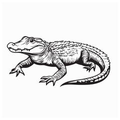 Fototapeta premium Realistic Alligator Vector Illustration Crocodile Reptile Animal Nature Wildlife Design
