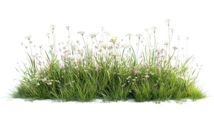 Realistic render of a dense patch of wildflowers and grass against a background © Seek