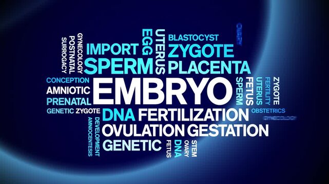 Embryo animated word cloud-text design animation tag kinetic typography seamless loop.