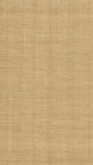 Woven Burlap Fabric Texture Background with Bordered Blank Area for Rustic Posters