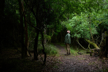 A man walking surrounded by nature stops in the middle of a path to look up. El Palmar National Park, Argentina. Concepts: ecotourism, traveling to connect with nature