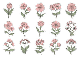 A charming collection of hand drawn delicate pink wildflowers in varying shapes and sizes.