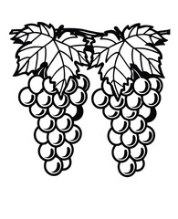 Black and white grapes with leaves illustration a simple elegant design element