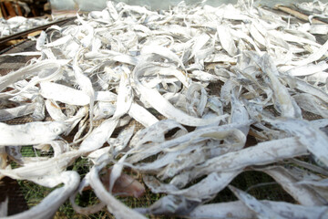 dried fish on market