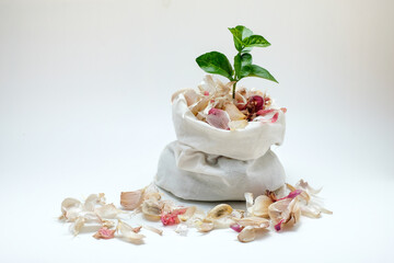 Fresh garlic cloves with a green plant sprouting from a white fabric bag on a clean background. Perfect for illustrating organic farming, healthy food, herbal remedies, and eco-friendly lifestyle