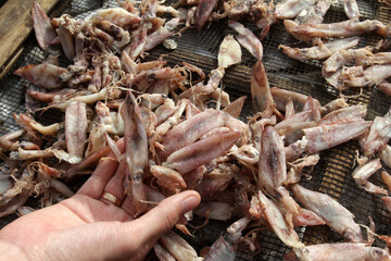 dried fish in the market