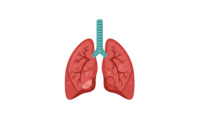 Vector illustration of lungs 