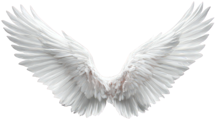 White Angelic Wings on Transparent Background