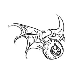 Spider Web Hand Drawn Halloween Illustration
