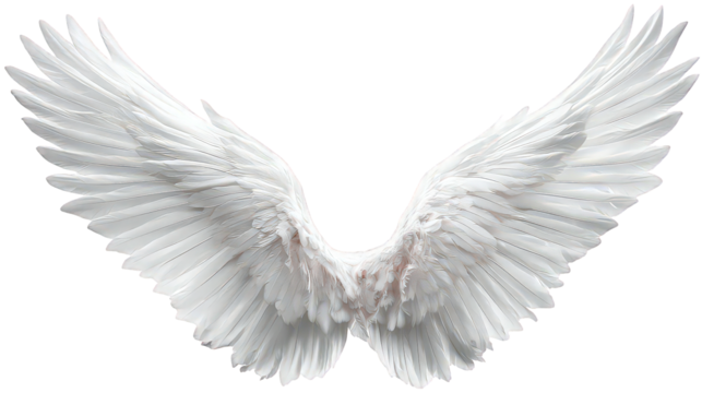 White Angelic Wings on Transparent Background