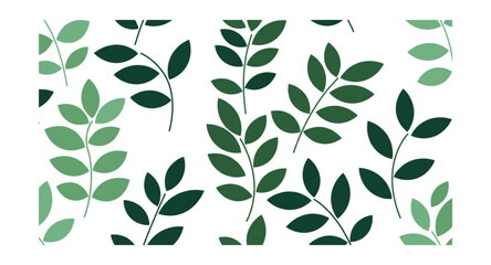 olive branch vector