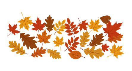autumn leaves vector illustration