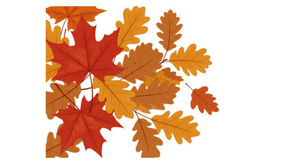 autumn maple leaves