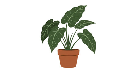 green plant in a pot