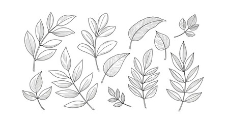 vector black and white flowers