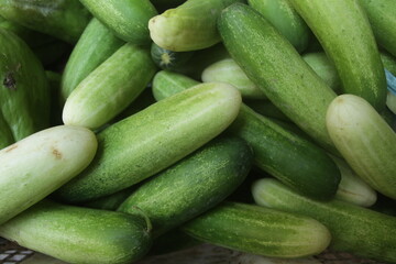 cucumbers in the market